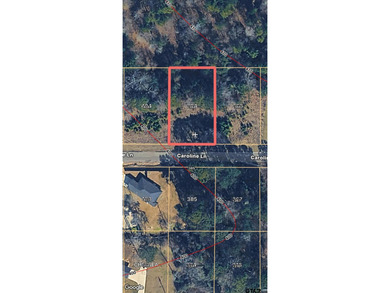 Lake Palestine Lot For Sale in Bullard Texas