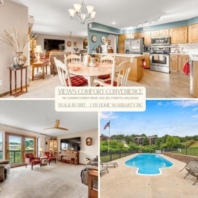 Lake Condo For Sale in Forsyth, Missouri