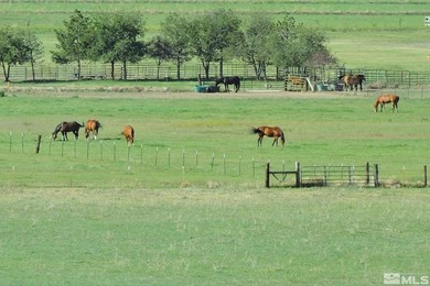 Prime land featuring valuable surface water rights and - photo 4
