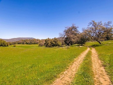 Situated in the heart of San Diego County's unspoiled mountains - photo 18