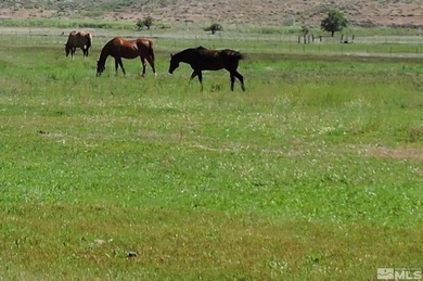 Prime land featuring valuable surface water rights and - photo 10