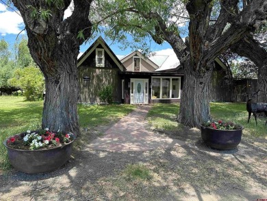 Lake Home For Sale in Del Norte, Colorado