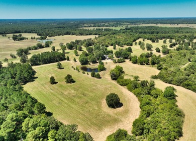 (private lake, pond, creek) Home For Sale in Haworth Oklahoma