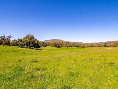 Situated in the heart of San Diego County's unspoiled mountains - photo 36