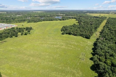 Lake Acreage For Sale in Tennessee Colony, Texas