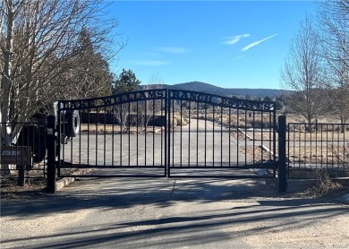Erwin Lake Acreage For Sale in Big Bear City California