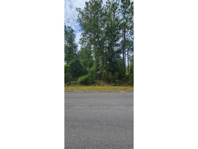 Bonable Lake Lot For Sale in Dunnellon Florida