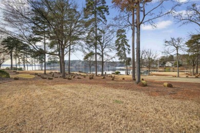 Exceptional Lake Access Home - Under Contract SOLD - photo 24