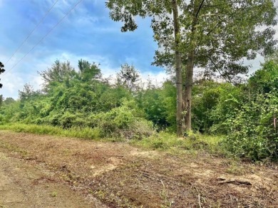 Lake Acreage For Sale in Shelbyville, Texas