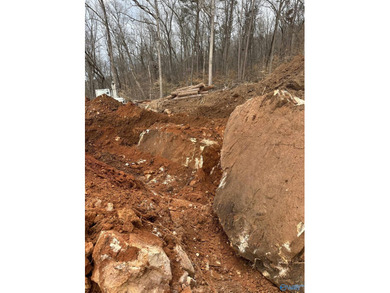 WATERFRONT AND 6.48+/- ACRES!! Dirt work completed including - photo 9