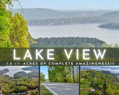 Lake Lot For Sale in Blue Eye, Missouri