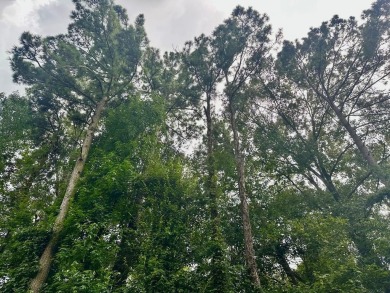 Lake Lot For Sale in Shelbyville, Texas