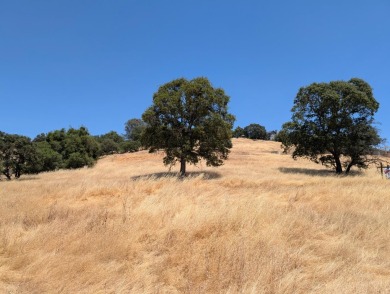 Lake Acreage For Sale in Copperopolis, California