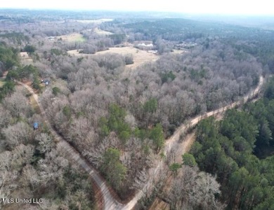 Lake Acreage For Sale in Carthage, Mississippi