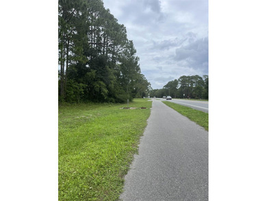 Includes four lots, 3, 4, 41, 42 zoned commercial with apx 100' - photo 2