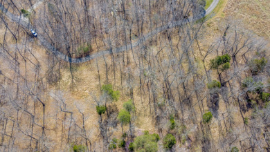 Wooded Lot in Gated Neighborhood, Central Location - photo 7