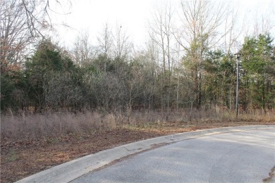 Lake Lot For Sale in Bull Shoals, Arkansas