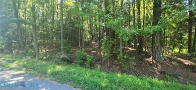 Build a summer home or have a home away from all of the hustle - photo 1