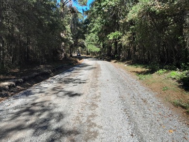 Lake Marion Acreage For Sale in Cross South Carolina