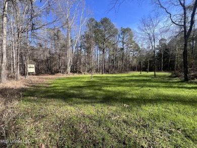 Lake Acreage For Sale in Crystal Springs, Mississippi