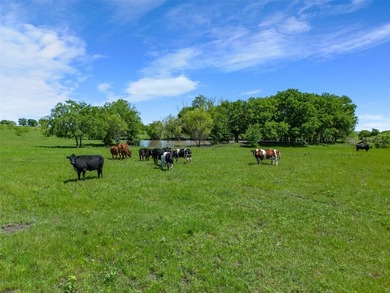 This 27.16-acre property, zoned for pre-development, offers a - photo 17
