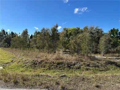 Lehigh Acres Area Lot For Sale in Lehigh Acres Florida