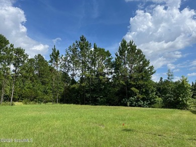 Beautiful lot at the end of a quiet cul de sac on the lake! - photo 2