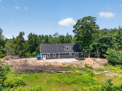 Don't miss this one! This beautiful NEW Construction Cape is - photo 42