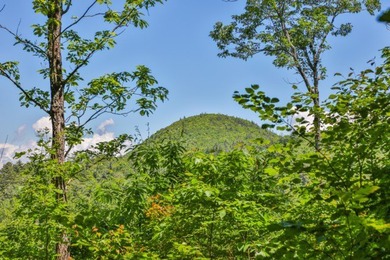 This property must be seen to be fully appreciated. While - photo 4