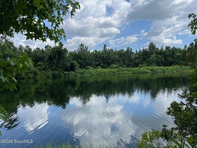 Beautiful lot at the end of a quiet cul de sac on the lake! - photo 5