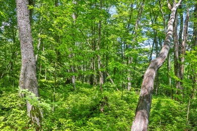 This property must be seen to be fully appreciated. While - photo 6