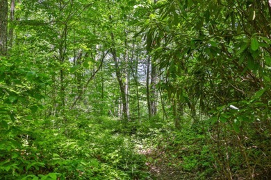 This property must be seen to be fully appreciated. While - photo 7
