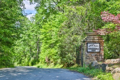 This property must be seen to be fully appreciated. While - photo 9