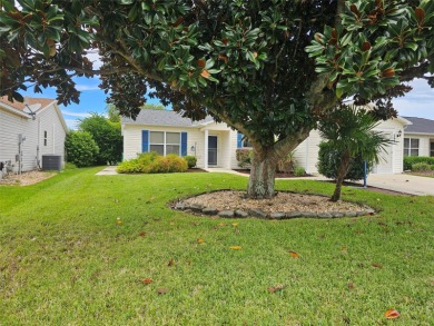 Lake Home For Sale in The Villages, Florida