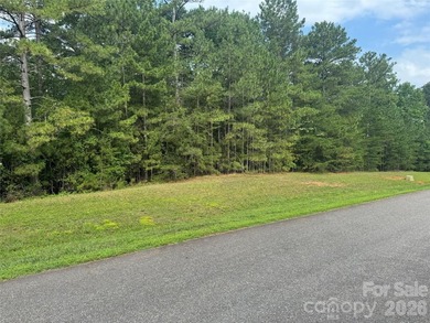 Wooded, sloping lot located in the desirable Harbor Ridge - photo 1
