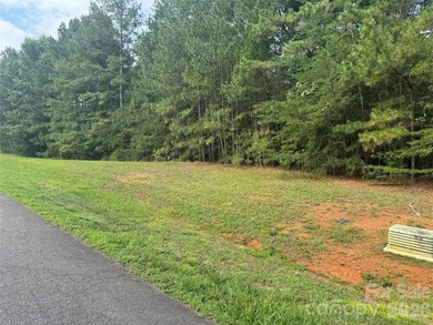 Wooded, sloping lot located in the desirable Harbor Ridge - photo 2