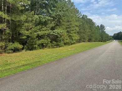 Wooded, sloping lot located in the desirable Harbor Ridge - photo 3