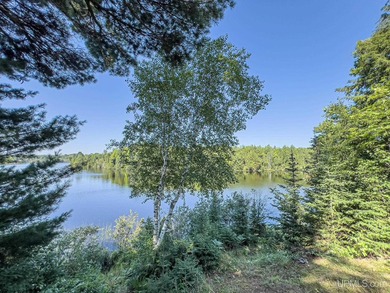 Explore your own secluded lakeside getaway! Situated on 6.5 - photo 3