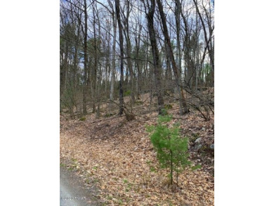 Valley View Lake Lot Sale Pending in Hawley Pennsylvania