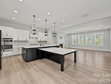 Lake Norman Dockable lakefront! Experience unparalleled luxury - photo 10