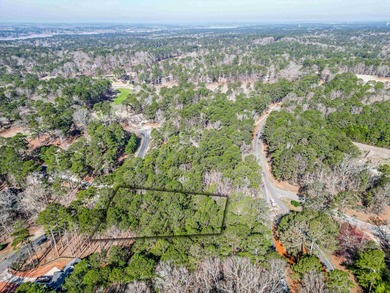 Situated in the Planters area of Reynolds Lake Oconee, this - photo 16