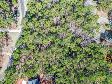 Situated in the Planters area of Reynolds Lake Oconee, this - photo 22