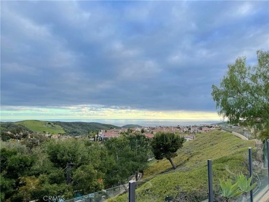 Beautiful Ocean View home is situated behind private gates above - photo 25