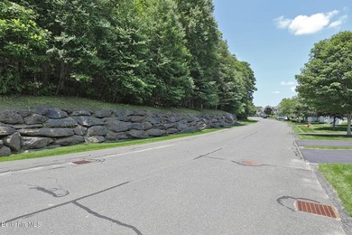 Beautiful end-unit property featuring soaring ceilings and - photo 40