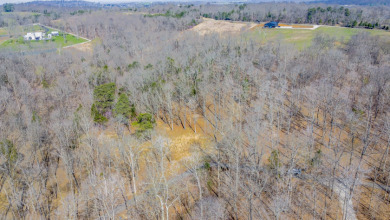 Wooded Lot in Gated Neighborhood, Central Location - photo 9