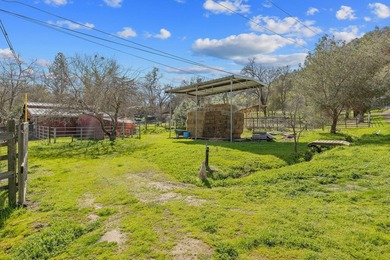 This spacious 2-bedroom, 2-bathroom home features 1,662 square - photo 49