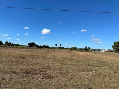 Lehigh Acres Area Lot For Sale in Lehigh Acres Florida