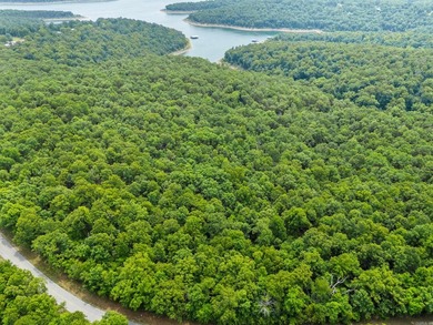 An opportunity like this is incredibly rare near Norfork Lake - photo 11