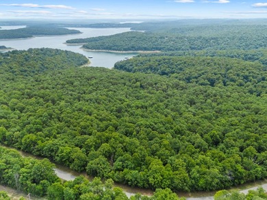 An opportunity like this is incredibly rare near Norfork Lake - photo 12