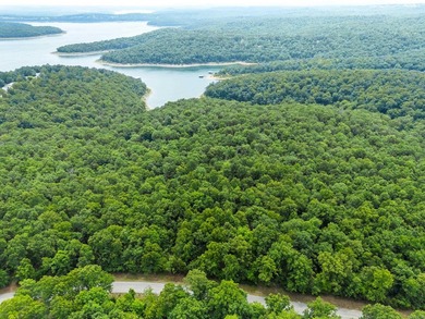 An opportunity like this is incredibly rare near Norfork Lake - photo 14